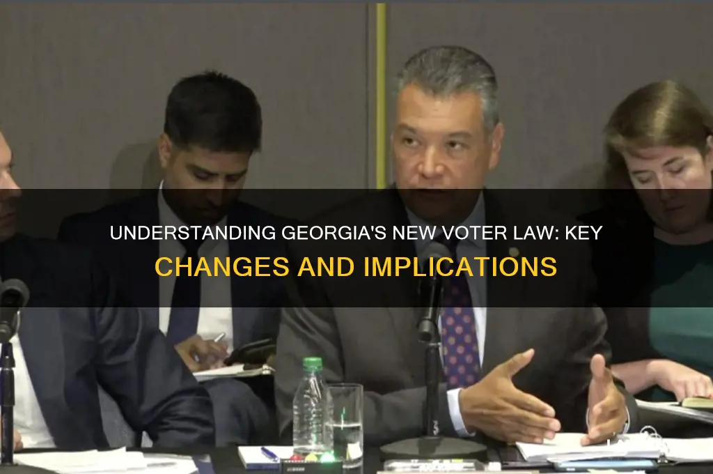 what is georgia voter law