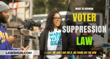 Understanding Georgia's Voter Suppression Law: Impact and Controversy Explained