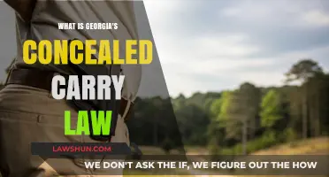 Understanding Georgia's Concealed Carry Law: Requirements, Permits, and Regulations