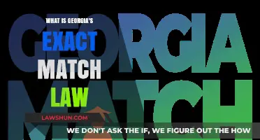 Understanding Georgia's Exact Match Law: Voter ID Requirements Explained