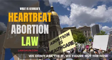 Georgia's Heartbeat Abortion Law: Understanding the Controversial Legislation