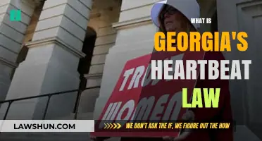 Understanding Georgia's Heartbeat Law: Implications and Impact on Reproductive Rights