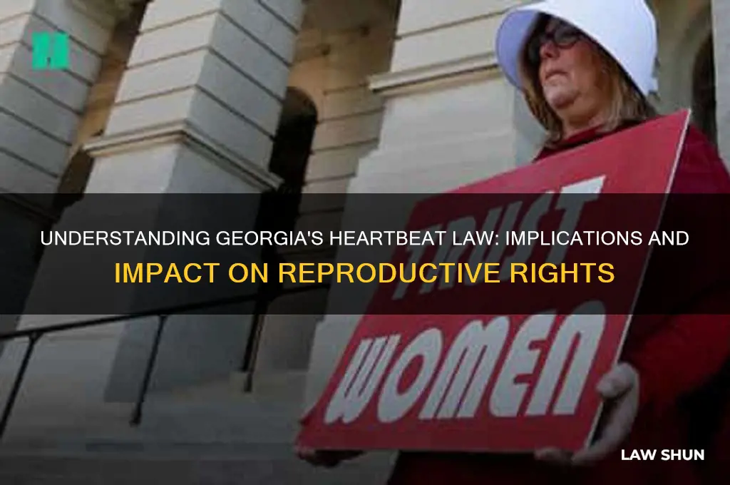what is georgia