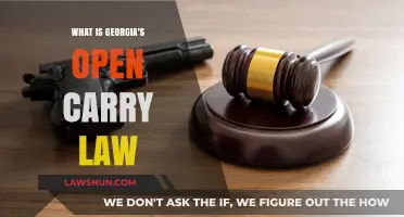 Understanding Georgia's Open Carry Law: Rights, Restrictions, and Responsibilities
