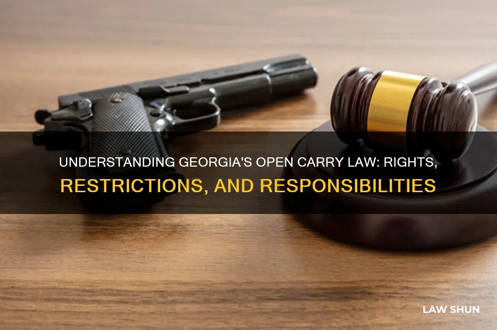 what is georgia