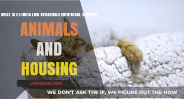 Understanding Glorida Law: Emotional Support Animals and Housing Rights Explained