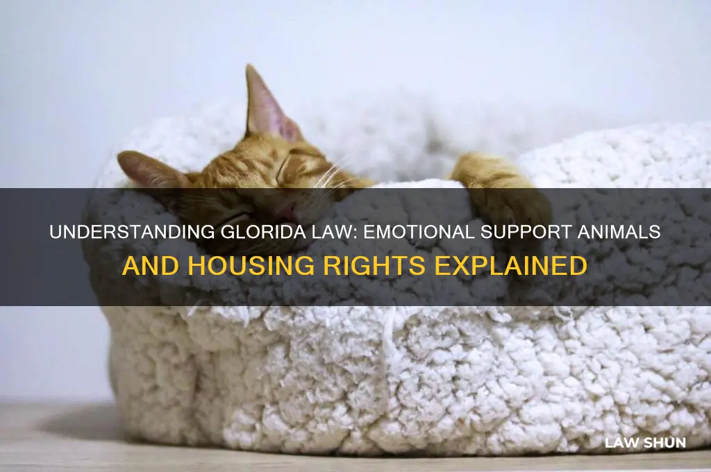 what is glorida law regarding emotional support animals and housing