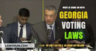 Georgia's Voting Laws: Understanding the Changes and Their Impact