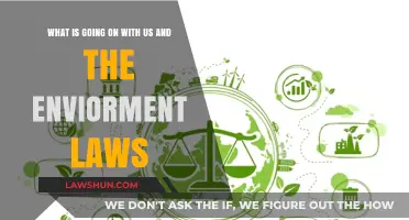 Environmental Laws in Crisis: What’s Happening to Our Planet?