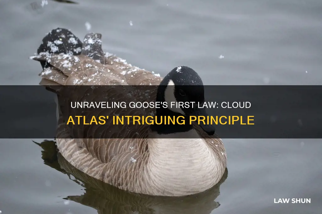 what is goose