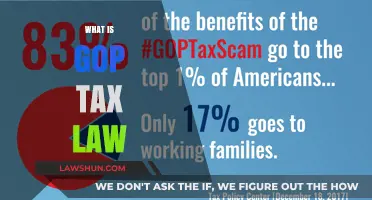 GOP Tax Law: What's in Store?