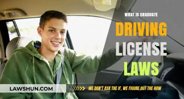 Grad Licenses: New Driving Laws for Young Adults