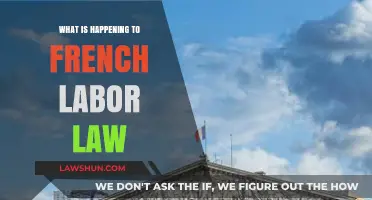 French Labor Law Reforms: Current Changes and Future Implications Explained
