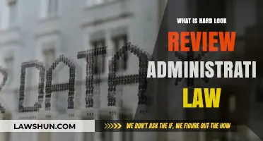 Understanding Hard Look Review in Administrative Law: Key Principles Explained