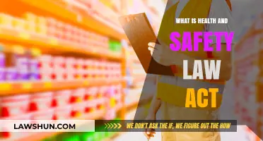 Understanding the Health and Safety Law Act: Key Principles and Compliance