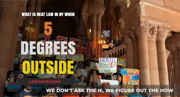 NY Heat Law: Tenant Rights When Temperatures Drop Below 5 Degrees