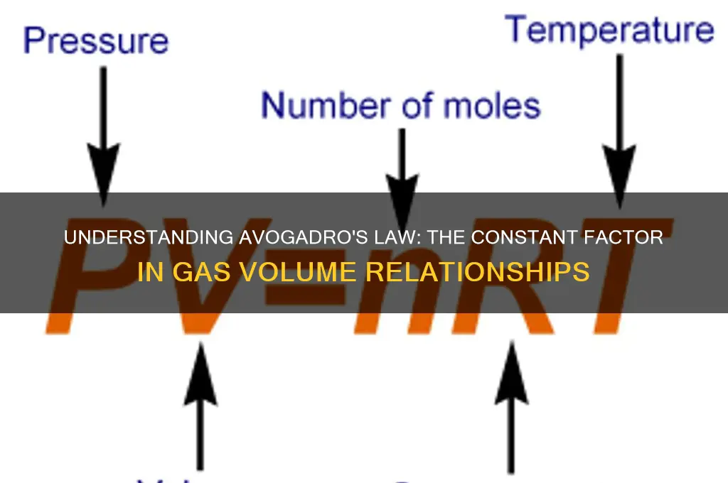 what is held constant in the avogadro