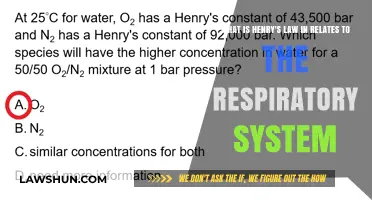 Henry's Law: Understanding Gas Exchange in the Respiratory System