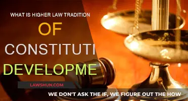 The Higher Law Tradition: Constitutional Development Explained