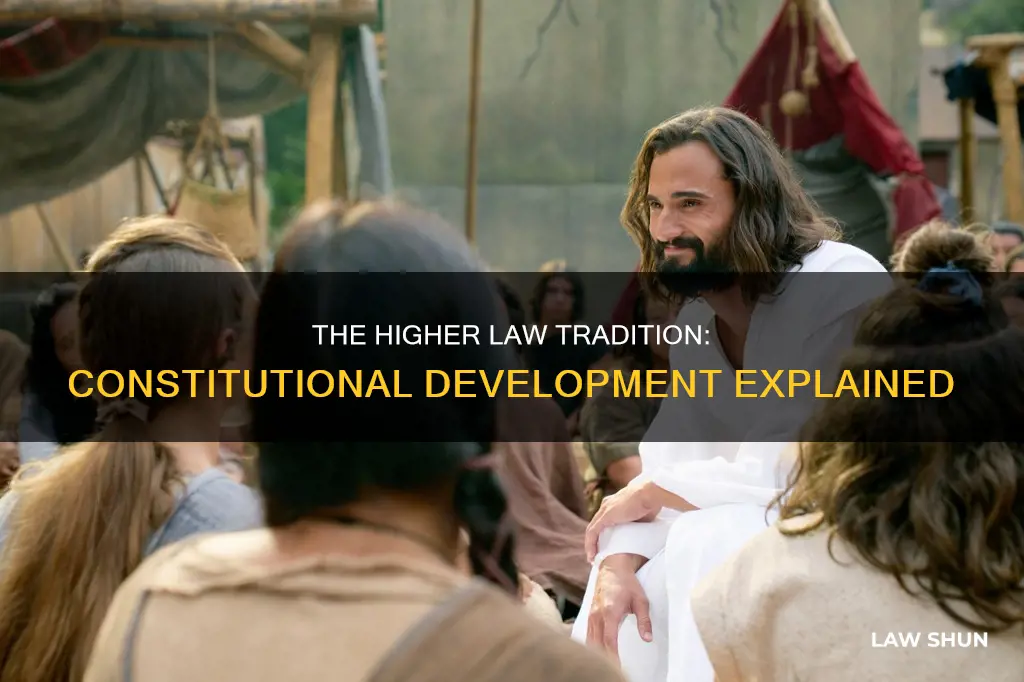 what is higher law tradition of constitutional development