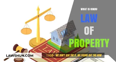 Understanding Hindu Law of Property: Rights, Inheritance, and Succession Explained
