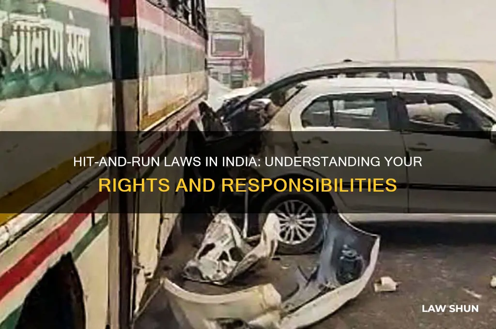 what is hit and run law in india
