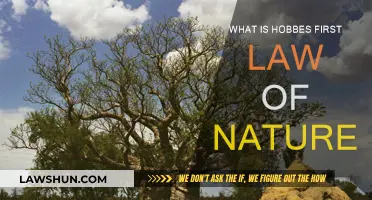 Hobbes' First Law: Nature's Law of Self-Preservation