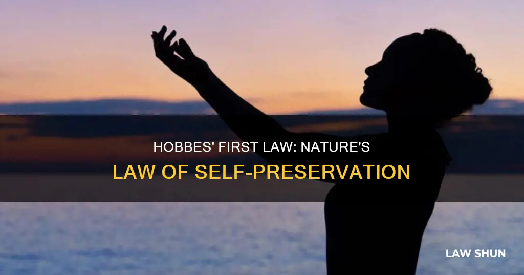 what is hobbes first law of nature