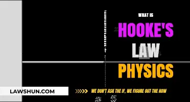 Exploring the Fundamentals: What is Hooke's Law in Physics?