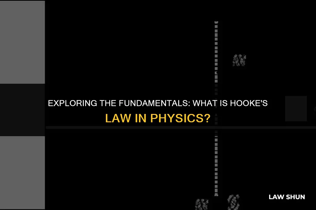 what is hooke