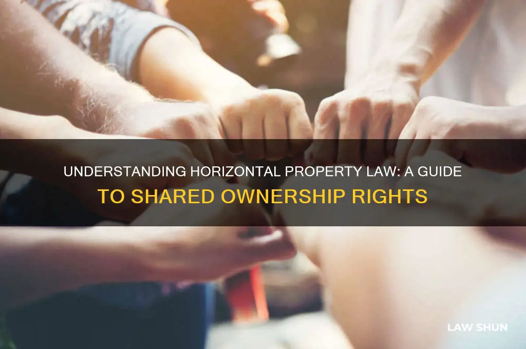 what is horizontal property law