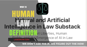 Understanding Human Law: Definition, Origins, and Modern Applications