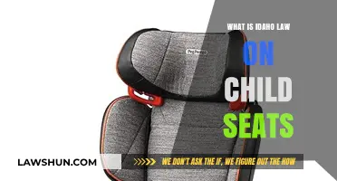 Idaho Child Seat Laws: Understanding Safety Requirements for Kids in Cars