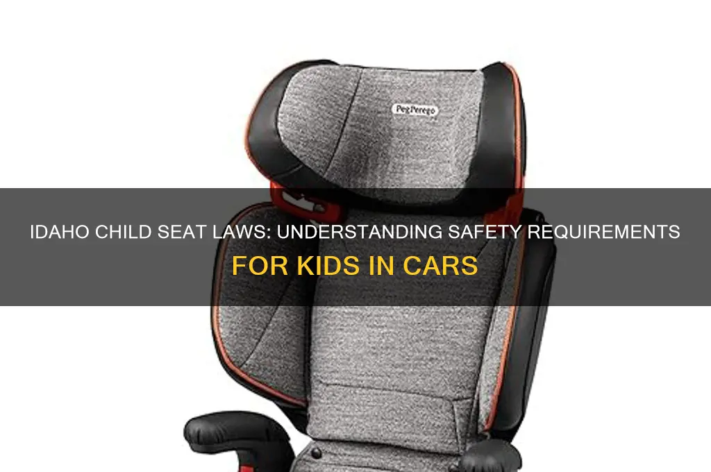 what is idaho law on child seats