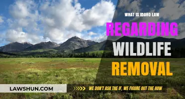 Idaho Wildlife Removal Laws: Understanding Regulations and Procedures