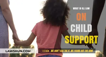 Understanding the Legal Implications of Child Support: What's Ill Law?
