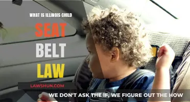 Understanding Illinois Child Seat Belt Law: Safety Requirements and Guidelines