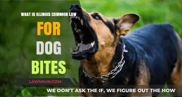 Illinois Dog Bite Law: Understanding Owner Liability