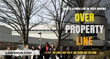 Illinois Tree Law: Rights and Responsibilities for Overhanging Branches