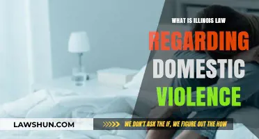 Understanding Illinois Domestic Violence Laws: Protections, Penalties, and Resources