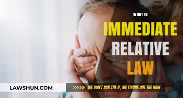 Understanding Immediate Relative Law: Family-Based Immigration Explained