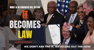 Congress Bills: Laws in the Making