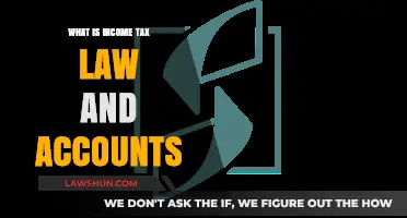 Income Tax Law and Accounts: A Beginner's Guide