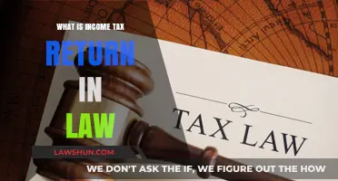 Understanding Income Tax Returns: A Legal Perspective