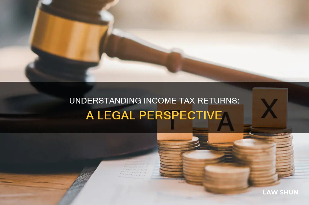 what is income tax return in law