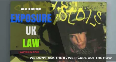 Indecent Exposure: UK Law Basics