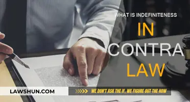 Indefiniteness in Contract Law: Understanding the Basics