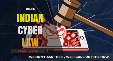 Indian Cyber Law: What You Need to Know
