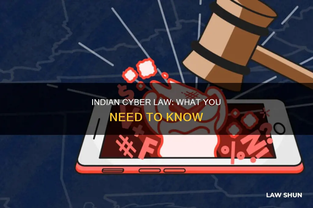 what is indian cyber law