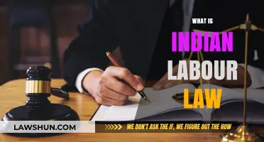 Labour Laws in India: Understanding the Basics